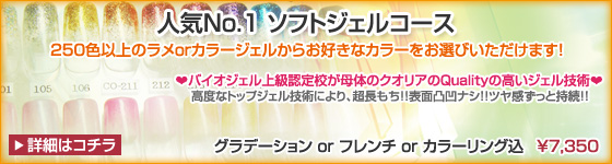 �l�CNo.1�\�t�g�W�F���R�[�X